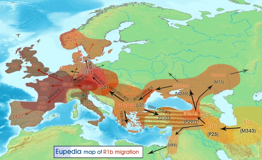 Haplogroup_R1b